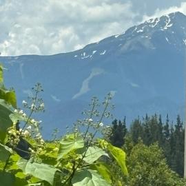 Modern apartment with a view of Pirin