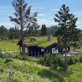 Løstegård hytter at the top of Golsfjellet