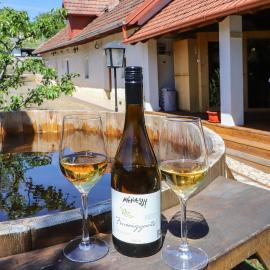 Tokaj-Wine Guesthouse and Spa, Hotel in Mád