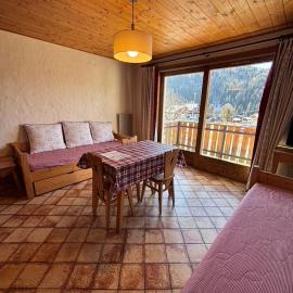 Studio Crêt du Midi, Chez Francine, hotel in Notre-Dame-de-Bellecombe