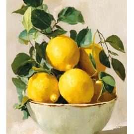 Lemon Garden Villapark, hotelli Bukfurdossa