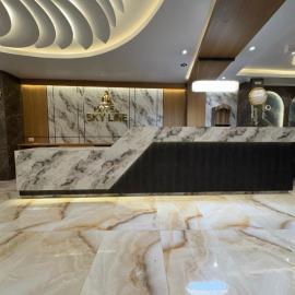 Hotel Skyline, hotel u gradu Janakpur