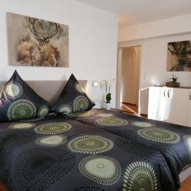 Hölbinger Alm - Apartments