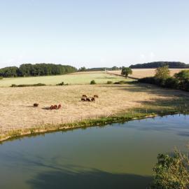Le Perche RELAX MAX 5min Ville & Gare - Panorama, Pêche