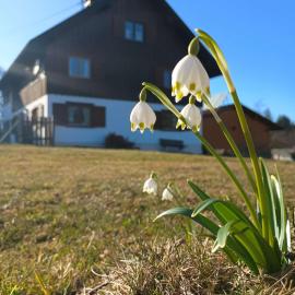 Ferienwohnung Biesen
