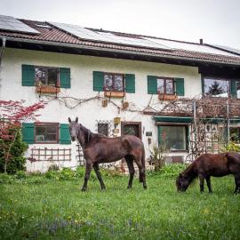 Ferienwohnungen Eisele "Die mit dem Pferd", Hotel in Bad Feilnbach