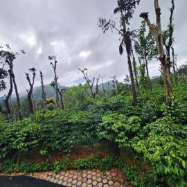 Shrunga Shreni Homestay - Near Bandaje trek and falls