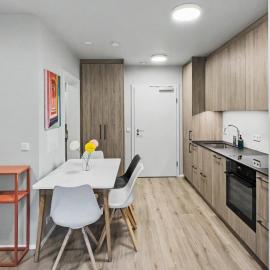 Spacious Downtown Reykjavik Apartment & Walk Everywhere