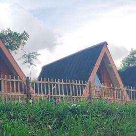 Cihulu Budget Glamping