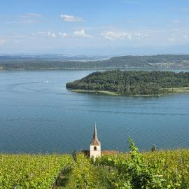 Ferien auf dem Weingut