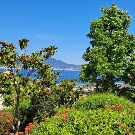 Appartement Centre Porticcio avec terrasse vue mer