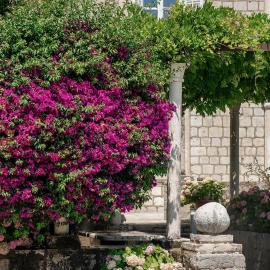 The Old Town Hostel-Villa Gradac, Hotel in Dubrovnik