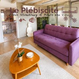 Le Plébiscité Maison Premium sur la Route des Vins d'Alsace