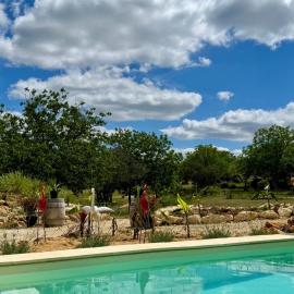 La Maison de la Ferme- piscine privée et jardin