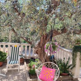 Casa vacanze l'Ulivo