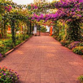 Source of The Nile Oasis, hotel di Jinja
