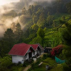 MAHAMAYA'S - Home in the Himalayas, hotel in Pedong