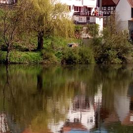 Apartment Nr 2 direkt am See