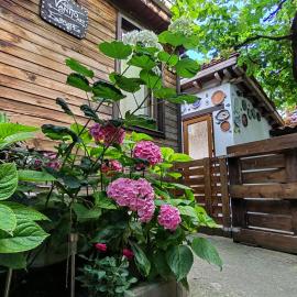 Vanito Art Escape, hotel di Nesebar