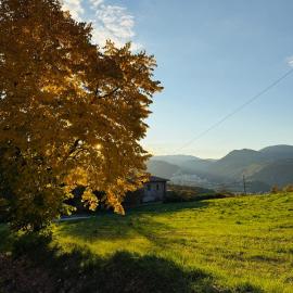 Dimora Gubbiano