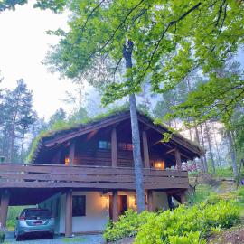 Holmøy Lodge, Hotel in Holmøyane