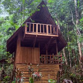 Entire Jungle Chalet Playa Ganadito, hotel a Drake