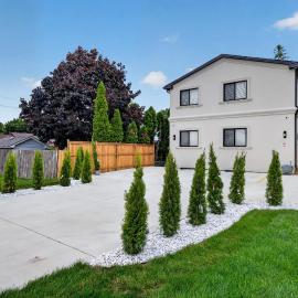 The Windsor Mainstay