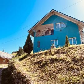Casa Butunoi, hotel sa Dămuc