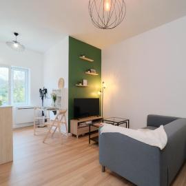 cute 2-room apartment, Vienne entrance, parking at the foot
