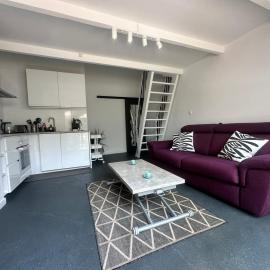 L'Écrin Vert du Zénith - Studio mezzanine & parking 'La Cartoucherie' Toulouse, hotel in Toulouse