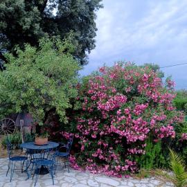 Studio 40 m 2 près St Guilhem le désert et rivière