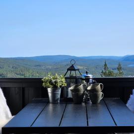 Secluded Cabin - Stunning Views - Hiking & Nature, Hotel in Mofjell