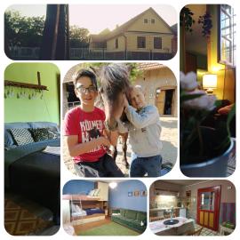Póni Kuckó Vendégház és Minifarm, hotel in Hosszúvölgy