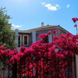Almyra Seaside Apartments, hotelli Elia Laconiasissa
