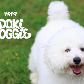 DokiDoggie油壺globe, ξενοδοχείο σε Miura