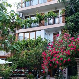 Nirvana Guest House