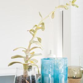 Cozy Bondi Apartment Heated Winter Stay