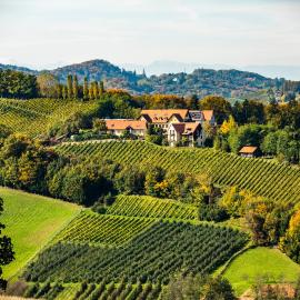 Sattlerhof Genießerhotel & Weingut，加姆利茨的飯店
