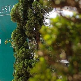 Floresta Tucuruvi (Adult Only), hotel in São Paulo