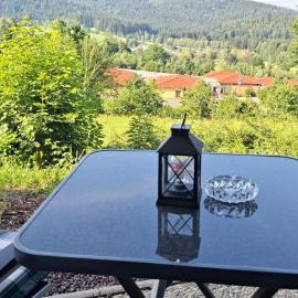 Appartement-Harlachberg-Blick-2