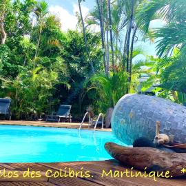 LODGE PAMPLEMOUSSE avec PISCINE privative , dans parc calme à 500 m plage, hotel in Le Carbet
