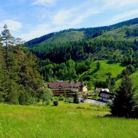 Tanne Tonbach - Wellness & Wohlfühl Hotel
