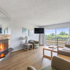 Pet-Friendly Suite - Kitchen and Fireplace - Pool and Hot Tub