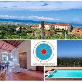 Agriturismo Tenuta Pakravan Papi, hotel en Riparbella