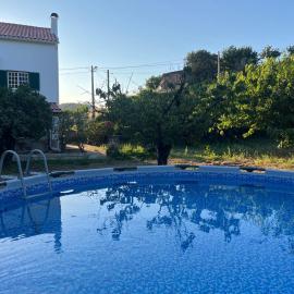 Miraculous Jungle Guest House, Quinta em atividade