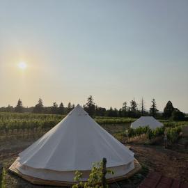 Glamp Mezi Vinicemi, Hotel in Valtice