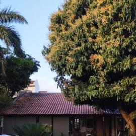 Casa em bairro nobre com jacuzzi privativa area gourmet varanda ampla, hotel in Campo Grande