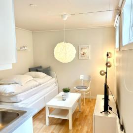Bright and cozy studio - newly renovated bathroom and free parking, hotel em Høiset