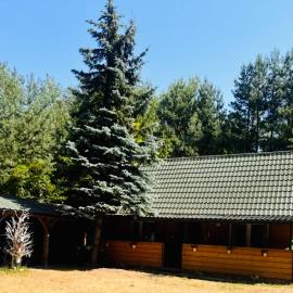 Park Poleski - Sosnowe Zacisze، فندق في Grabniak