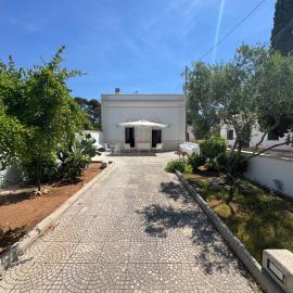 Zaira House